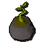 Bagged cactus
