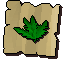 Marrentill (noted)