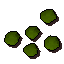 Snape grass seed