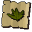 Kwuarm (noted)