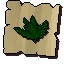 Toadflax (noted)