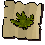 Snapdragon