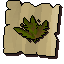 Grimy snapdragon