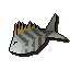 Karambwanji