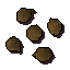 Apple tree seed