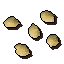 Orange tree seed
