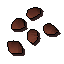 Pineapple tree seed