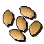 Palm tree seed