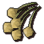 Onion seed