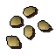 Strawberry seed