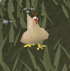 Chicken.png