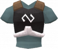 Elite void knight top (b).png