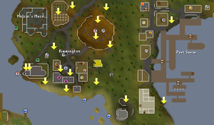 Rimmy sarim scan.png