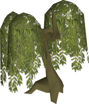 Willow1.png