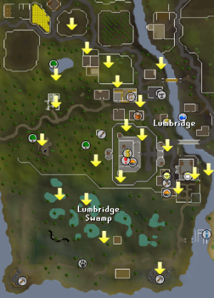 Lumbridge scan.png