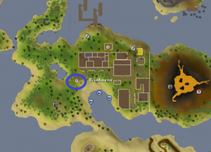 POH location - Brimhaven.png