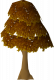 Maple tree.png