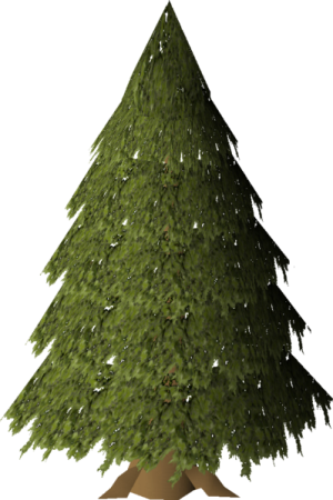 Evergreen.png