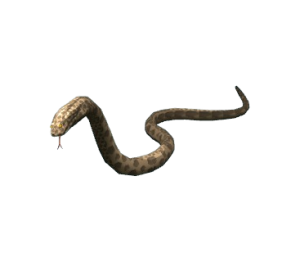 Jungle snake.png