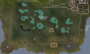 Lumbridge map.png