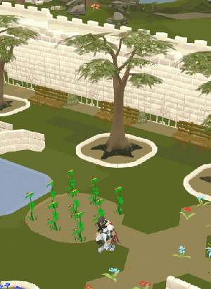 Comp cape emote.gif