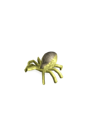 Crypt spider.png