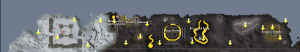 55+ scan.png