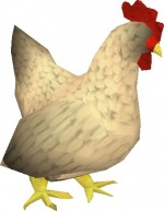 Chick.jpg